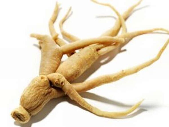 Root ginseng